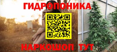 мяу мяу мука Ярославль